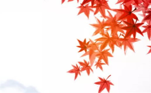 2028年11月25日是不是动土吉日 是建筑房屋好日子吗