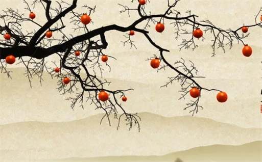 2028年农历八月十三动土好不好 今日建筑房屋好不好