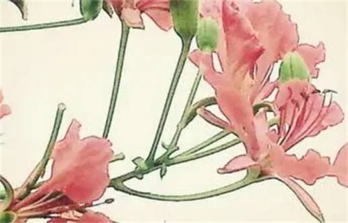 2027年08月03日动土好不好 是动土修造好日子吗