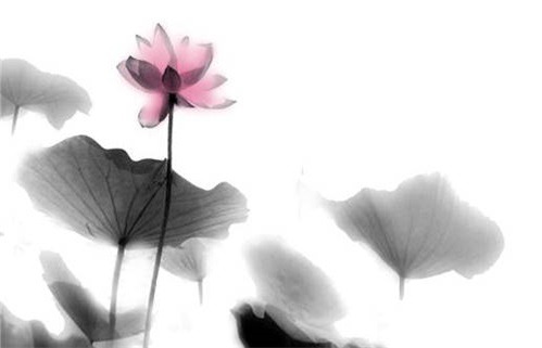 2030年农历九月十六是不是动土吉日 是动土建房好日子吗