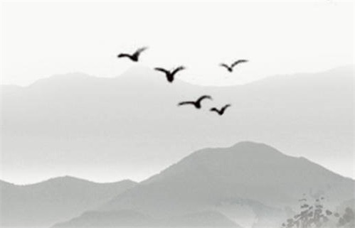 2024年12月12日动土日子如何 今日动土好不好