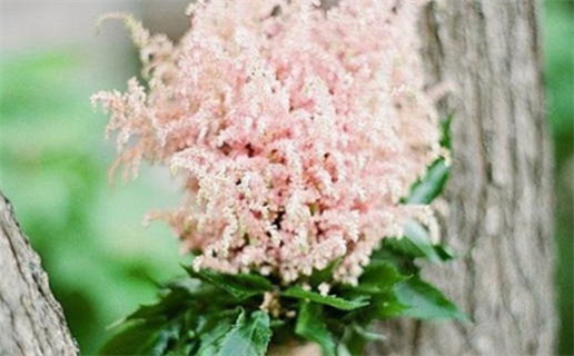 2029年农历六月廿七结婚好吗 是办婚礼好日子吗