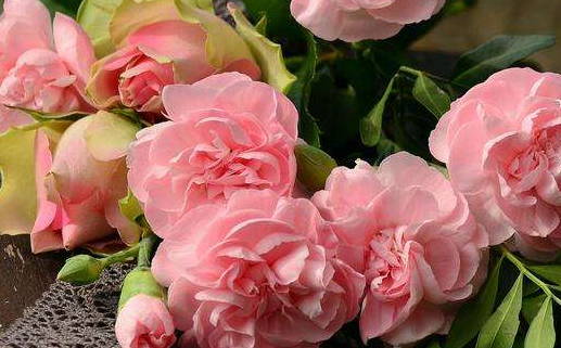 2032年06月15日是不是结婚吉日 适不适合办婚礼