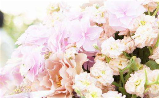 2034年06月12日结婚吉日查询 宜办婚礼吉日查询