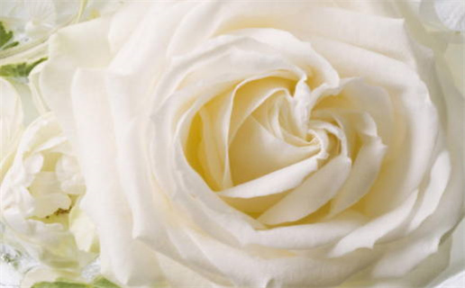 2030年农历九月初二结婚吉日查询 适不适合办喜事 2030年农历九月初二结婚吉日查询 适不适合办喜事