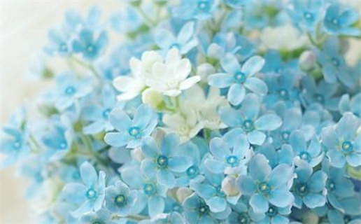 2024年09月22日结婚黄道吉日 适不适合办喜事