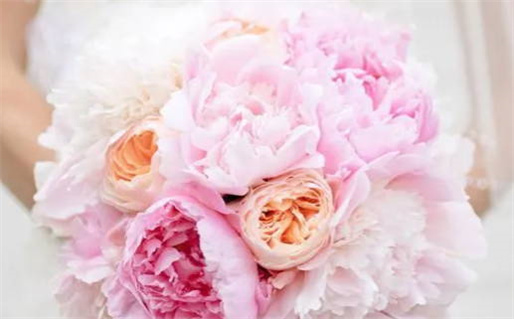 2033年09月17日结婚吉日查询 宜办喜事吉日查询