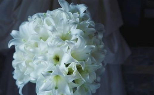 2027年03月13日领证好吗 今日登记领证好不好