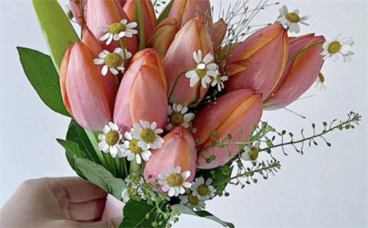 2029年10月22日领证好不好 是登记领证好日子吗