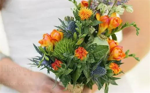 2027年农历腊月廿七领证好吗 宜登记领证吉日查询