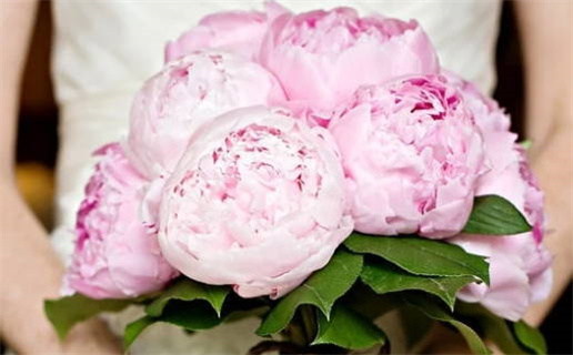 2026年农历三月初九领证好吗 是登记结婚好日子吗 2026年农历三月初九领证好吗 是登记结婚好日子吗