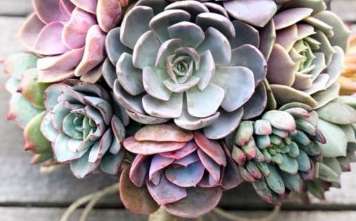 2028年农历七月十七是不是领证吉日 今日领证好不好