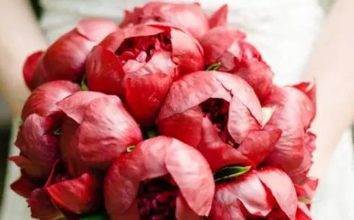 2035年农历四月十一领证好吗 今日领证结婚好不好