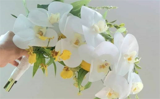 2033年农历七月十五是不是领证吉日 是登记领证好日子吗