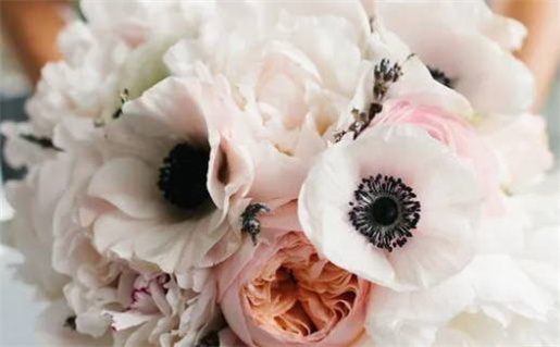 2033年农历闰冬月初一是领证好日子吗 今日领证好不好