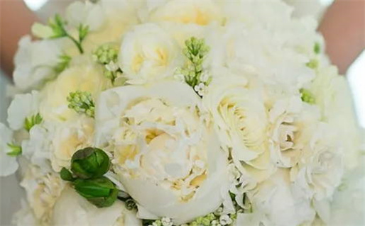 2033年农历八月十七领证好吗 今日登记领证好吗