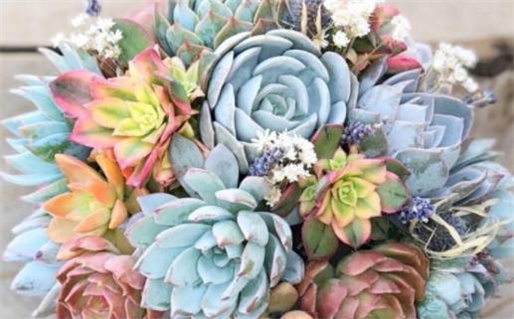 2025年农历五月廿七领证吉日查询 今日领证结婚好吗