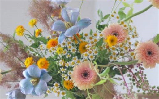 2031年01月05日领证好吗 今日领证好不好