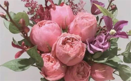 2027年06月24日领证好不好 宜登记领证吉日查询