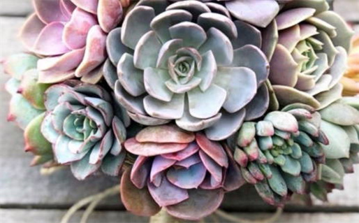 2027年03月05日领证吉日查询 是领证好日子吗