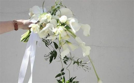 2031年07月26日领证好吗 是领证结婚好日子吗