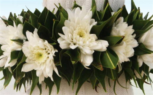 2035年农历二月廿三领证好吗 今日登记领证好吗