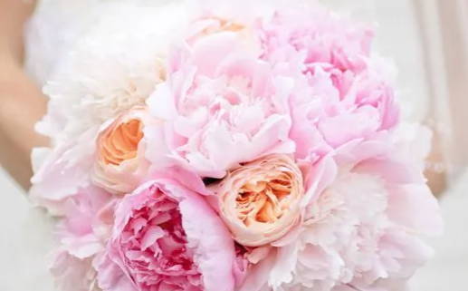 2030年农历冬月廿七领证吉日查询 宜领证结婚吉日查询