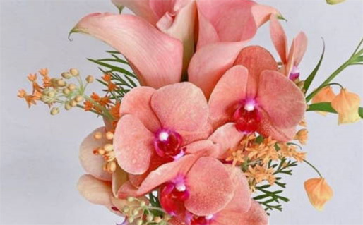 2033年农历三月初三领证黄道吉日 今日登记结婚好不好