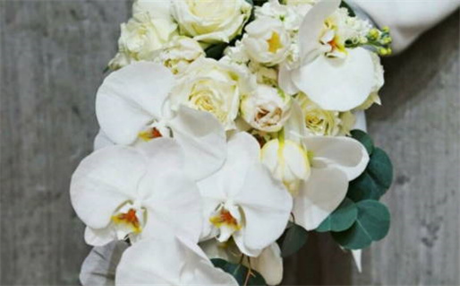 2025年06月29日领证吉日查询 今日领证好吗