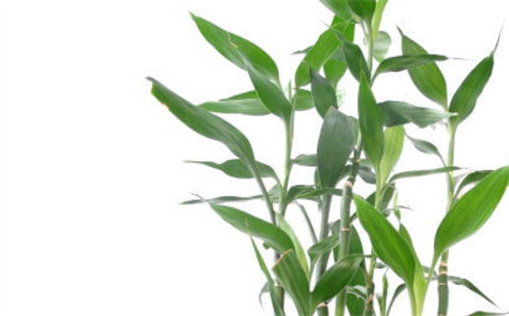 2031年农历八月初一乔迁吉日查询 今日乔迁入宅好不好