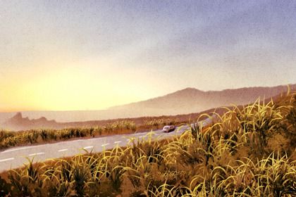 2030年02月26日是提车好日子吗 宜提车买车吉日查询