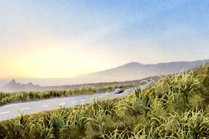 2029年农历正月十六是不是提车吉日 宜提新车吉日查询