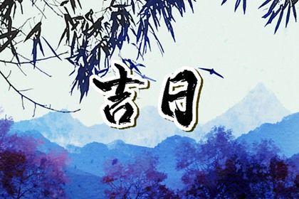 2028年04月29日提车好吗 是买新车好日子吗