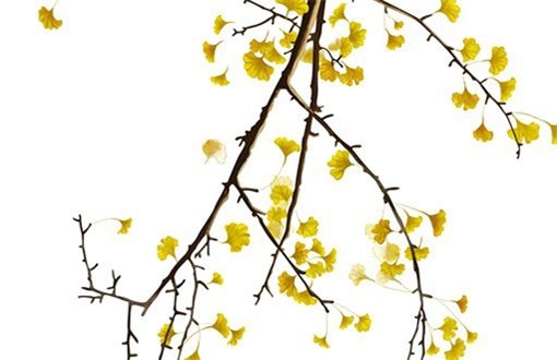 2032年农历九月十九是不是装修吉日 今日装修新房好吗