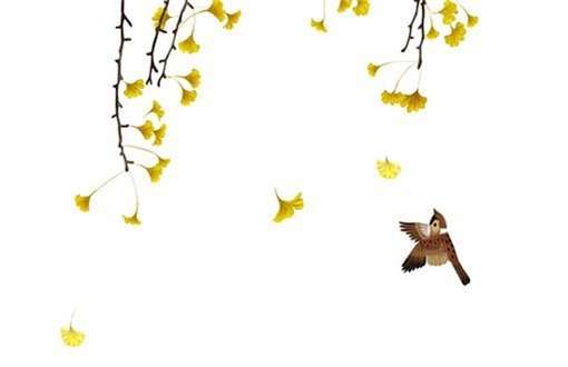 2027年05月16日是装修好日子吗 今日装修好吗