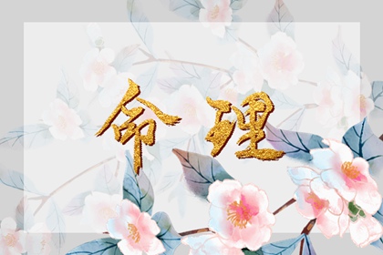 老黄历万年历 黄道吉日万年历 万年历查询