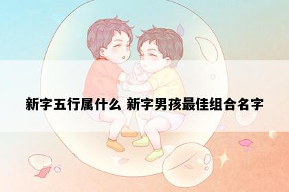 新字五行属什么 新字男孩最佳组合名字