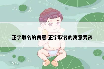 正字取名的寓意 正字取名的寓意男孩