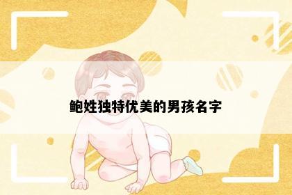 鲍姓独特优美的男孩名字
