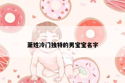 萧姓冷门独特的男宝宝名字