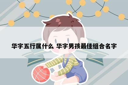 华字五行属什么 华字男孩最佳组合名字
