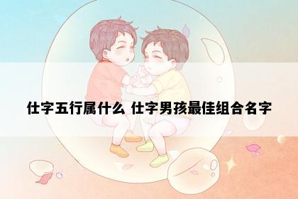 仕字五行属什么 仕字男孩最佳组合名字