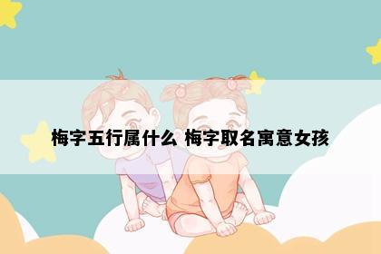 梅字五行属什么 梅字取名寓意女孩