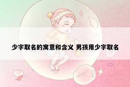 少字取名的寓意和含义 男孩用少字取名