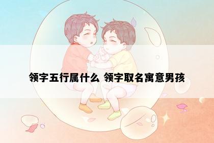 领字五行属什么 领字取名寓意男孩