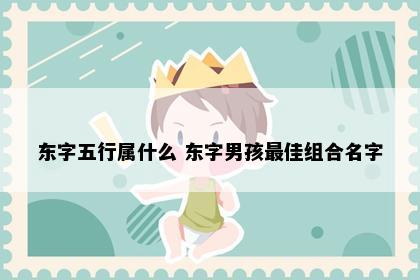 东字五行属什么 东字男孩最佳组合名字