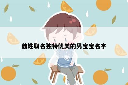 魏姓取名独特优美的男宝宝名字