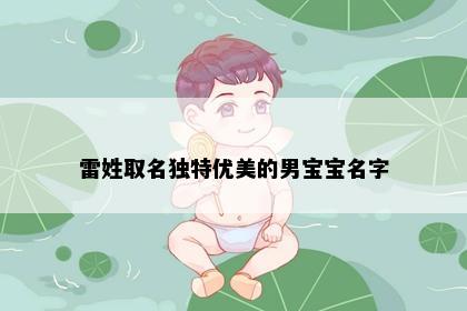 雷姓取名独特优美的男宝宝名字