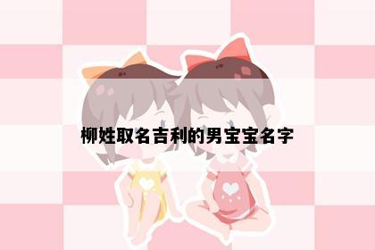 柳姓取名吉利的男宝宝名字