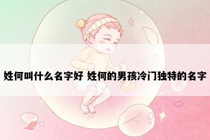 姓何叫什么名字好 姓何的男孩冷门独特的名字